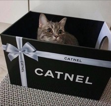 Catnel katzenbett kratzmatte gebraucht kaufen  Braunschweig