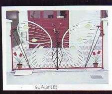 1981 surgeres butterfly d'occasion  Expédié en Belgium