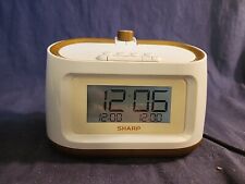Sharp projection alarm for sale  Saucier