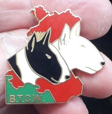 Bull terrier club for sale  LONDON