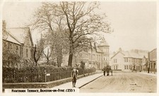 Dunston tyne. hawthorn for sale  UK
