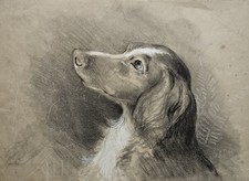 antique pencil drawings for sale  LISKEARD