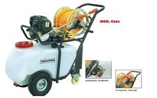 Motopompa 50lt tempi usato  Torchiarolo