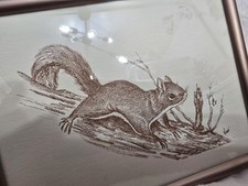 Adorable framed squirrel for sale  Parksville