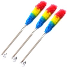 Stück teleskop staubwedel gebraucht kaufen Stück teleskop staubwedel gebraucht kaufen  Reutlingen