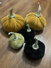 Velvet like pumpkins for sale  New Braunfels