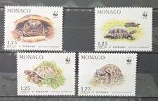 hermann tortoise for sale hermann tortoise for sale Henderson