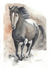 Dipinto acquarello calvagna usato Dipinto acquarello calvagna usato  Bergamo