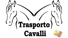 Adesivo auto trasporto usato  Taranto