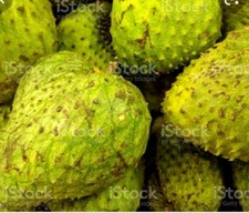 Fresh soursop exotic for sale Fresh soursop exotic for sale  HARROW