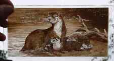 Otters stained glass for sale  BATTLE