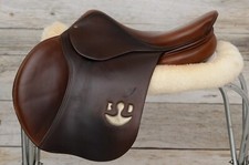 Stunning 2018 bruno for sale  Fort Worth