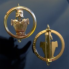Beret badge genius d'occasion  Expédié en Belgium