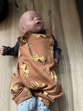 Rebornbaby milan melanie gebraucht kaufen  Ihlienworth