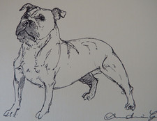 Desenho original de caneta e tinta para cachorro de um Staffordshire Bull Terrier em papel creme comprar usado  Enviando para Brazil