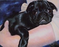 8x10 black pug for sale  Broomfield