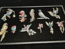 Pieces adorable birds for sale  Lodi
