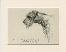 Kerry blue terrier for sale  COLEFORD