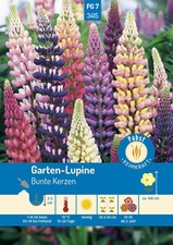Lupine bunte kerzen gebraucht kaufen  Pulheim