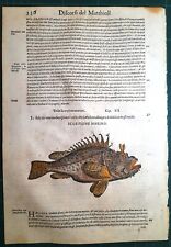 Stampa antica mattioli usato  Lecco