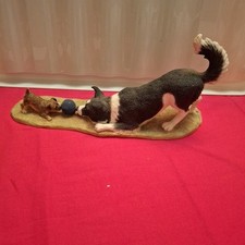 Border collie border for sale  CHESTER