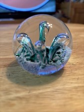 Caithness miniature moonflower for sale  LIVERPOOL