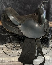 Big horn model for sale  Trenton