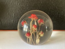 Hippocampus red rose for sale  ENFIELD