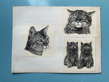 C1920s 30s cats for sale  LONDON