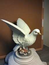 White dove andrea for sale  Silver Lake