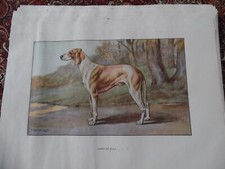 Gravures chien chasse d'occasion  Combs-la-Ville