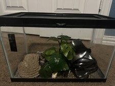 Tank kit reptile for sale  Balch Springs