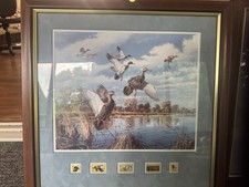 Waterfowl duck stamp for sale  Fort Collins