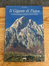 Gigante pietra storia usato  Rimini