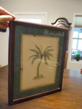 Framed coconut palmtree for sale  Donalsonville