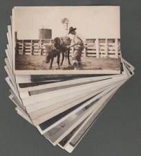 Rppc postcards lynn for sale  Elma