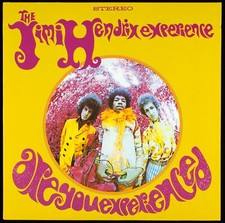 The jimi hendrix d'occasion  Paris XIII