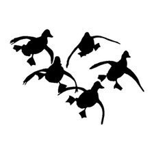 Ducks flying vinyl for sale  Leesport