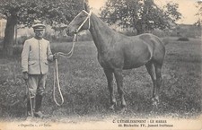 Old postcard horse d'occasion  Expédié en Belgium