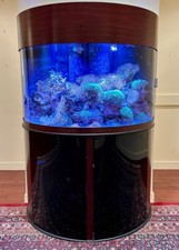 Exceptional salt water for sale  Dallas