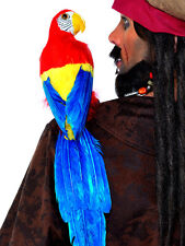 Pirate parrot shoulder for sale  Hayward