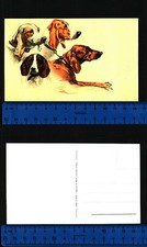 Cani caccia bellissima usato  Italia