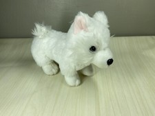 Generation white dog for sale  Concord