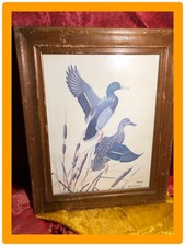 Famous artist zimmerman for sale  Altamonte Springs