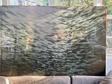 Fish sea modern for sale  USA