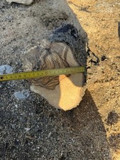 Legno ulivo pezzo usato Legno ulivo pezzo usato  Rodi Garganico