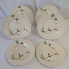 Royal doulton coppice for sale  WALTON-ON-THAMES