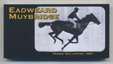Eadweard Muybridge Cavalo Galopante 1887 Reimpressão 4 x 2 Polegadas MOTION FLIP Livro Novo comprar usado  Enviando para Brazil