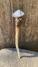 Roe deer antler for sale  HASLEMERE