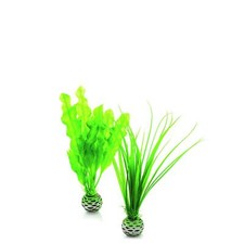 Jeu plantes vert d'occasion  Lyon I